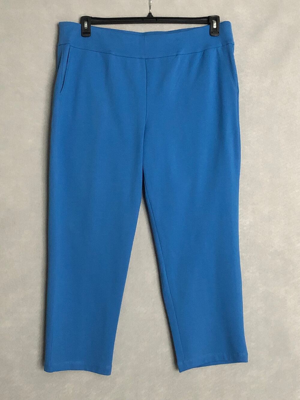 Allison Daley Pull-On Pants Straight Leg Stretch Blue Woman 2XS NEW